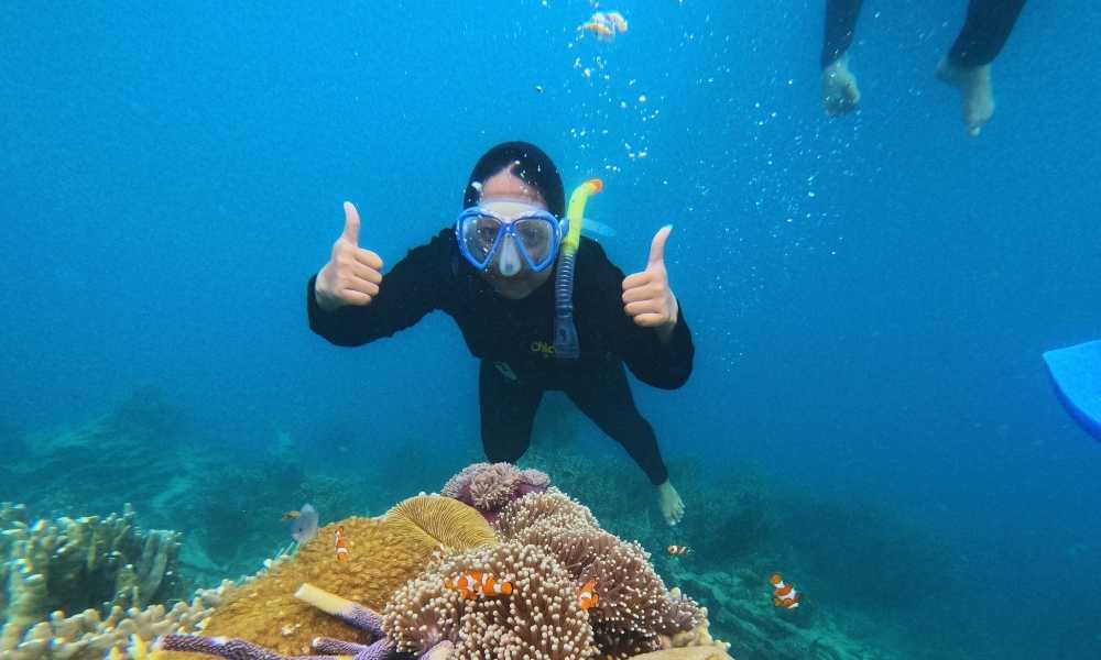 agen tour karimunjawa