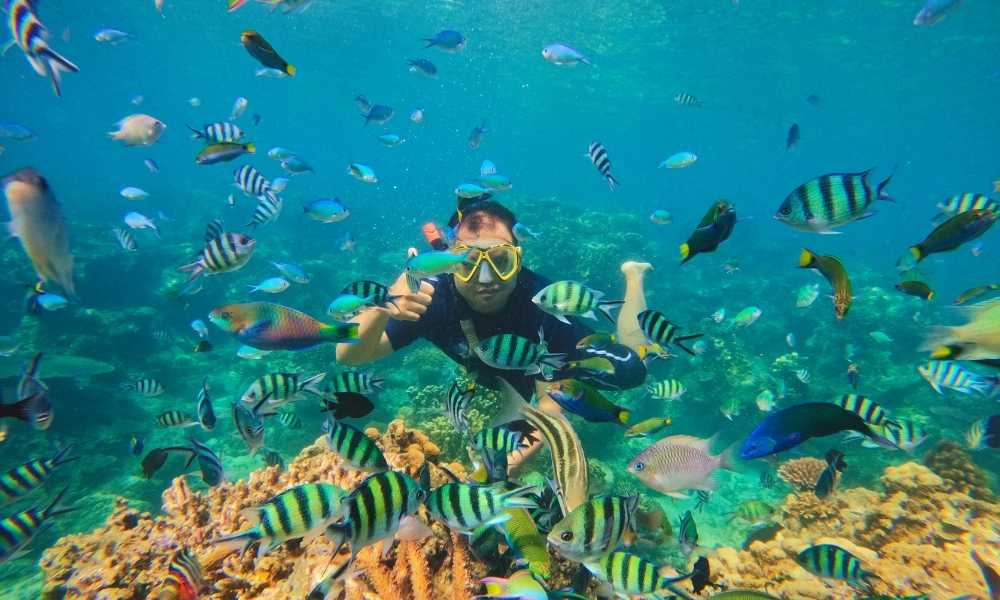 open trip karimunjawa