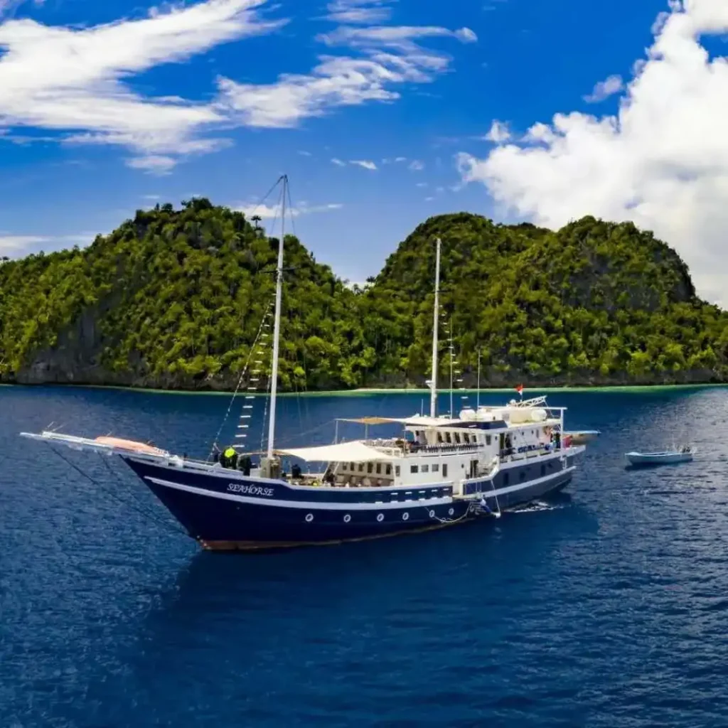 private trip sailing sumbawaa