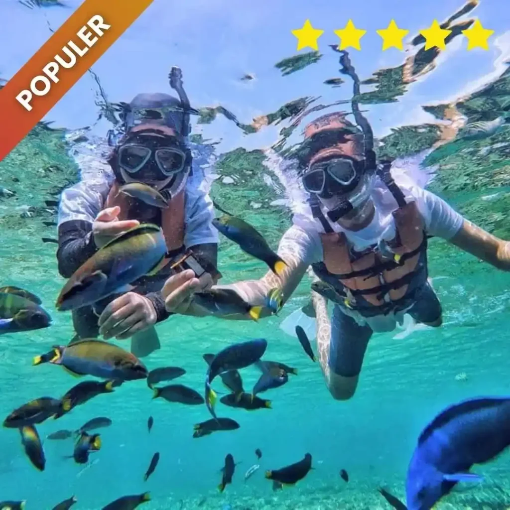 harga paket karimunjawa dari jogja