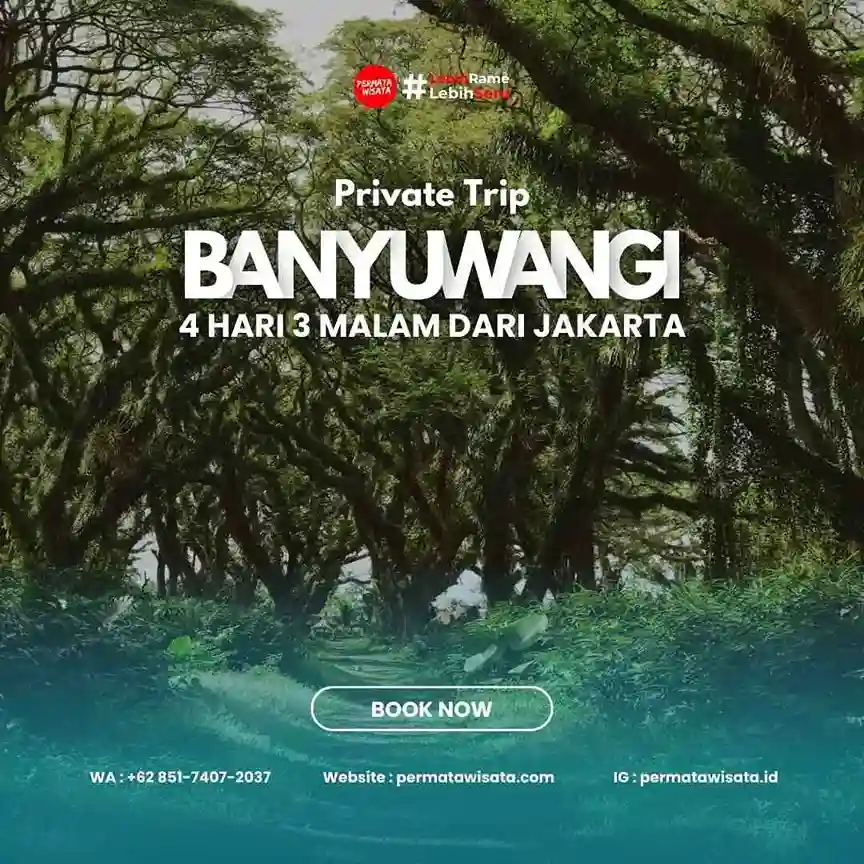 paket 4h3m banyuwangi dari jakarta