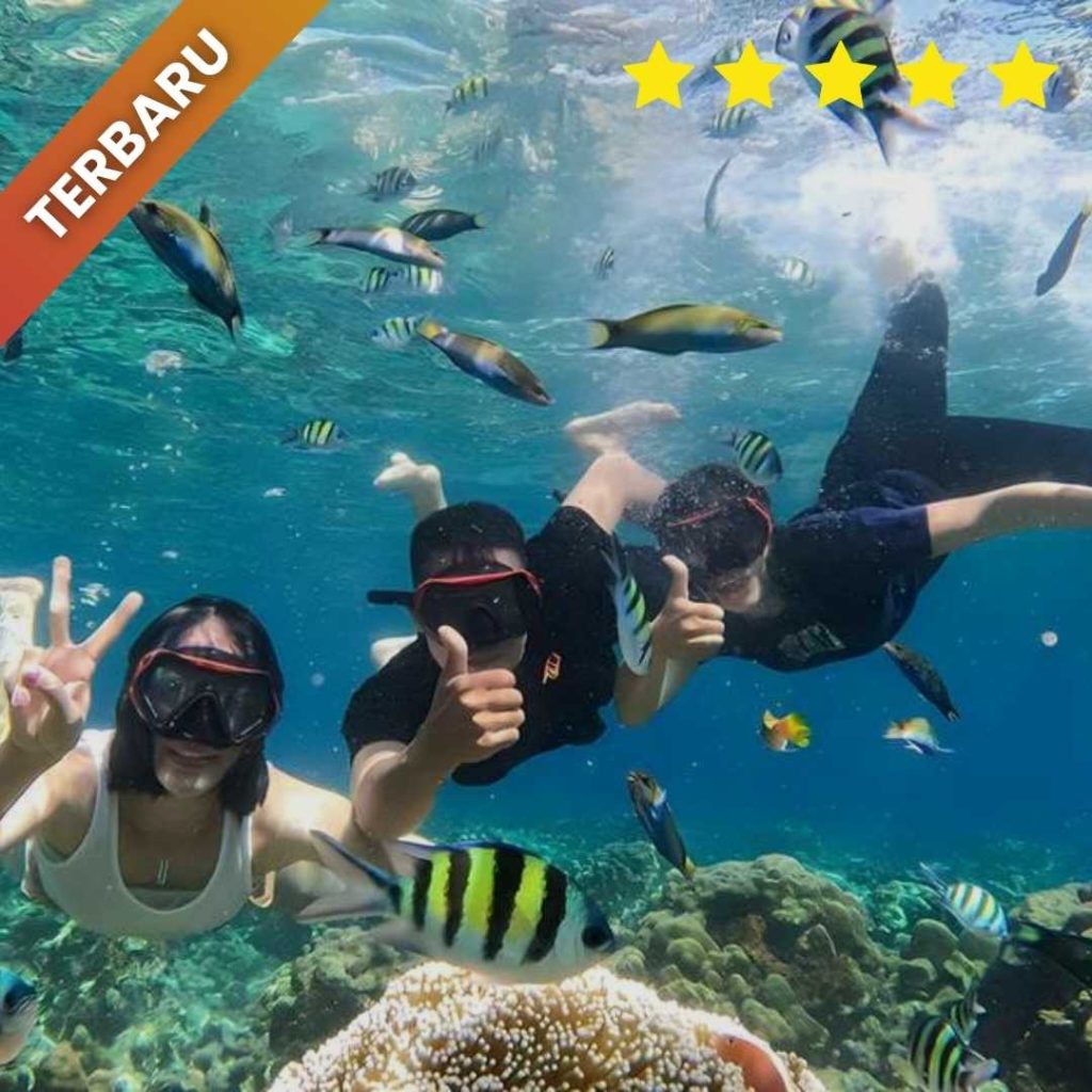 paket karimunjawa dari bandung