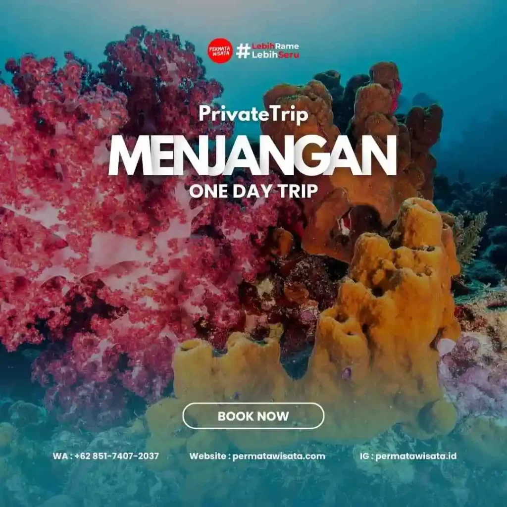 paket menjangan one day